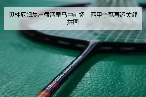 bei-lin-e-mu-fu-chu-pan-huo-huang-ma-zhong-qian-chang-xi-jia-zheng-guan-zai-tian-guan-jian-pin-tu-3-502.jpg