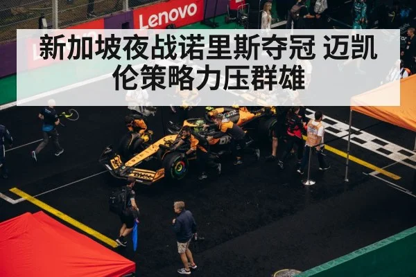 新加坡夜战诺里斯夺冠 迈凯伦策略力压群雄